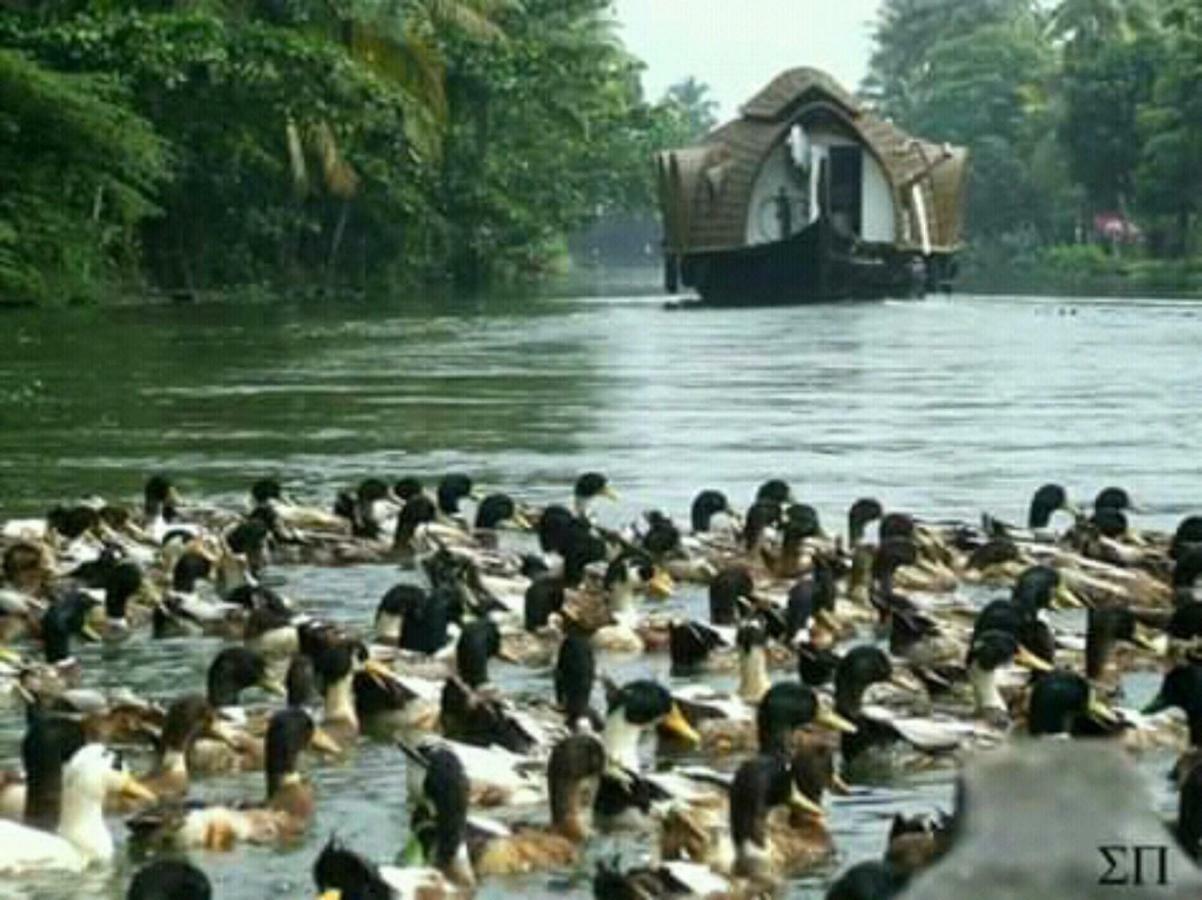 Rajatheeram Beach Homestay & Backwater Cruise Alleppey Alappuzha Bagian luar foto